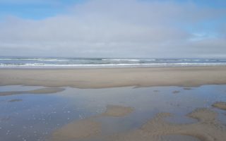 Ocean beach