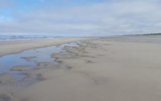 Person walking on beach