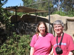 At the Zoo