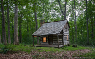 Cabin in the woods