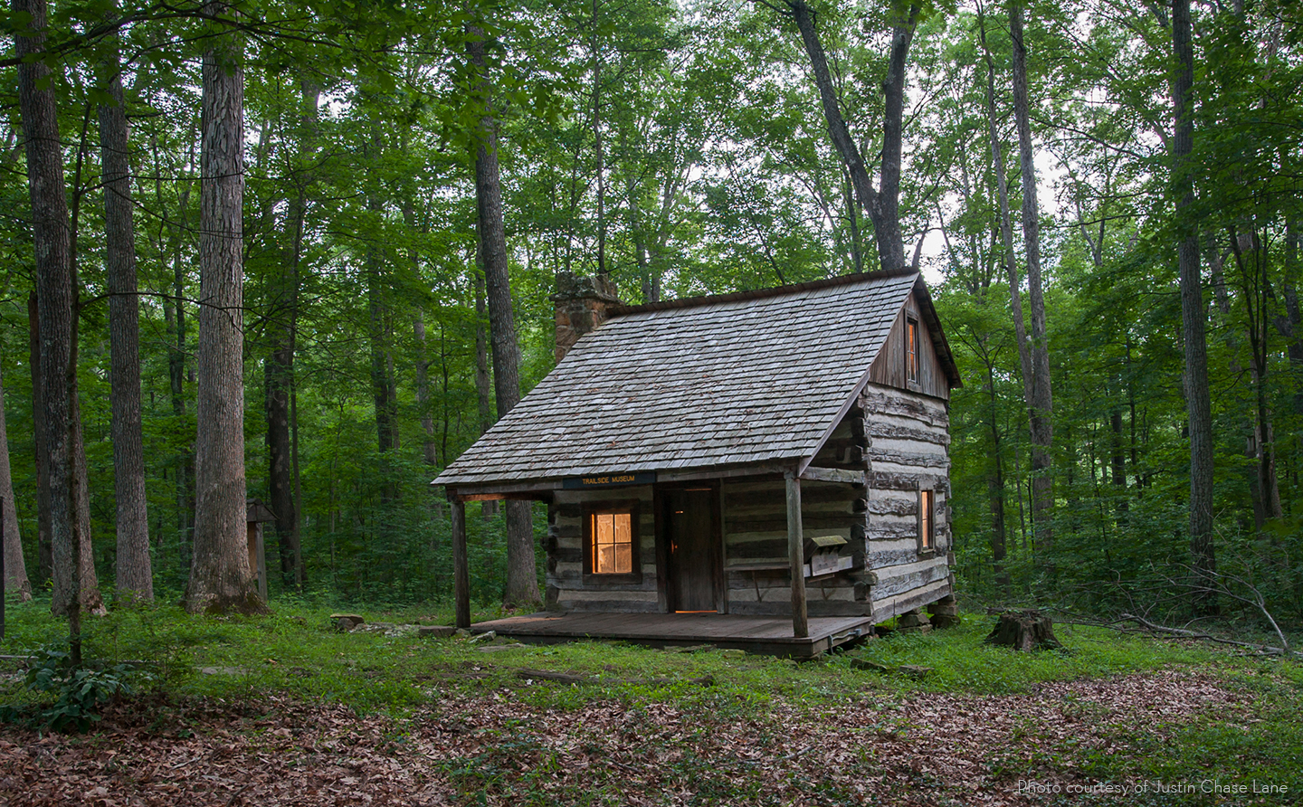 Cabin in the woods