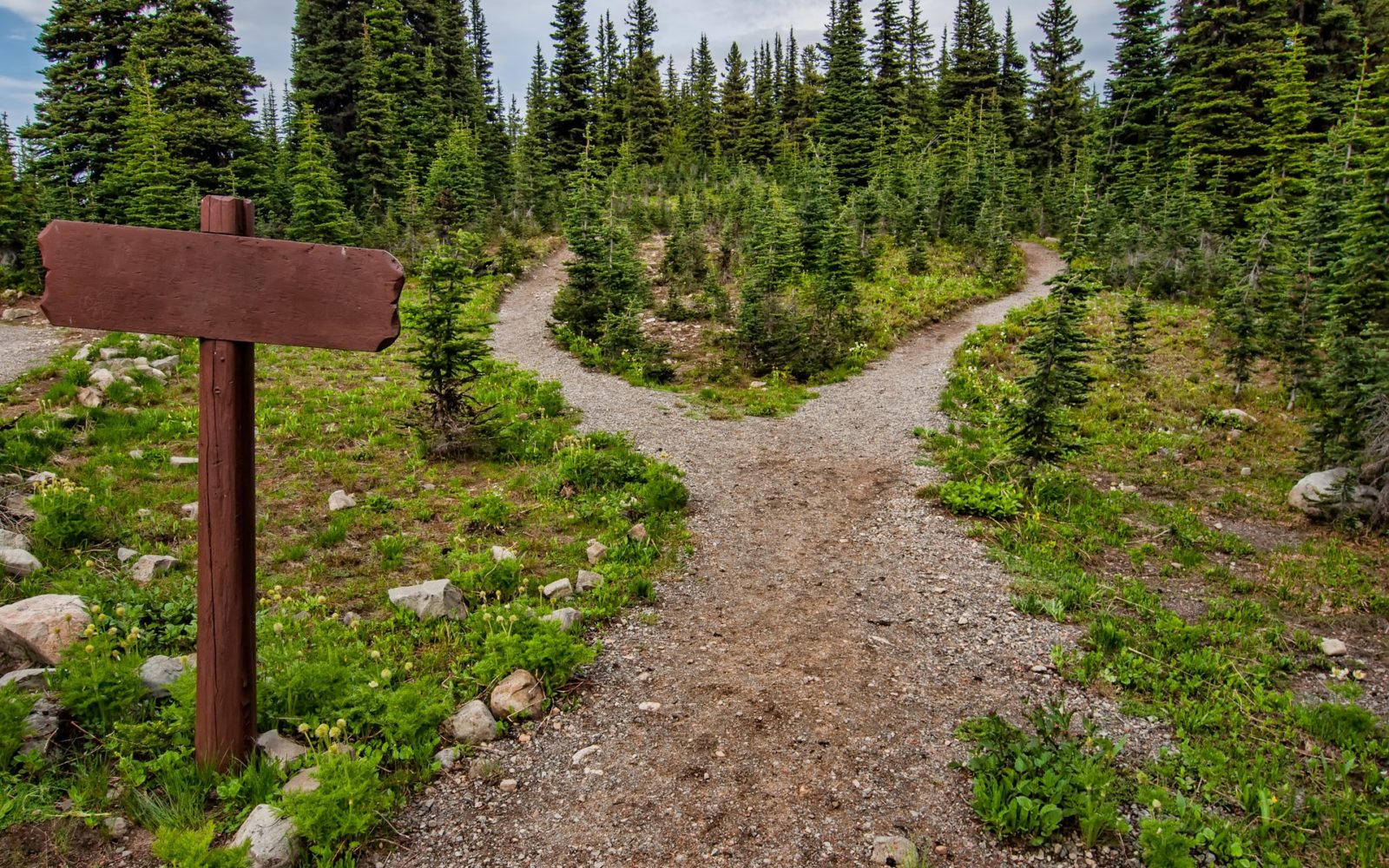Fork in path
