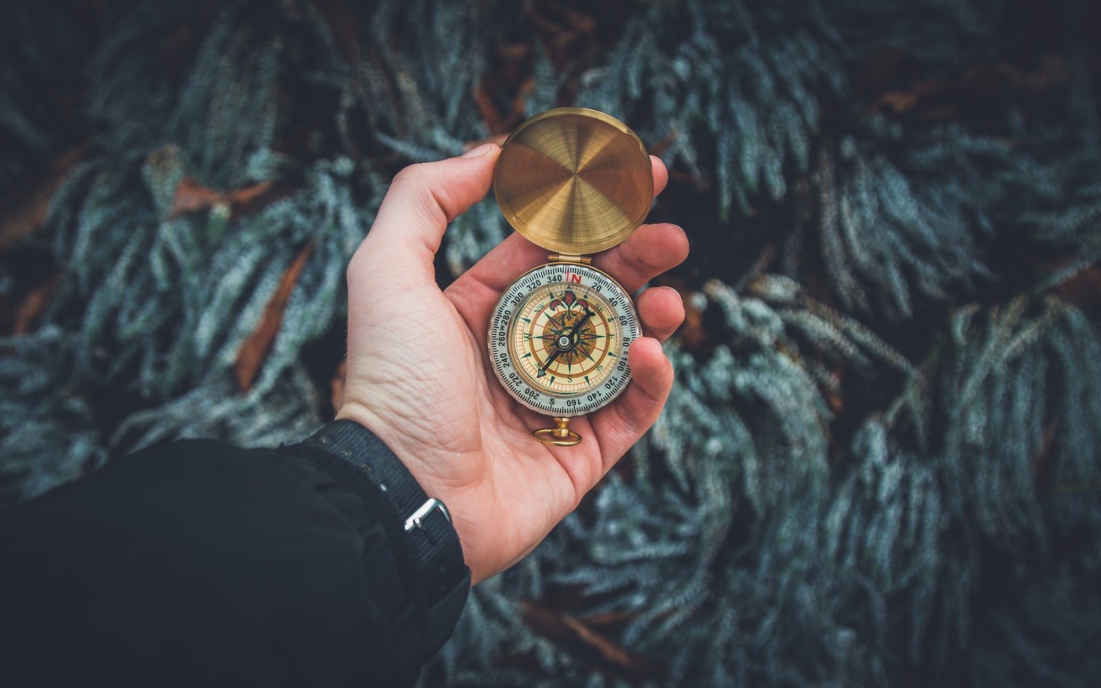 Person holding compass